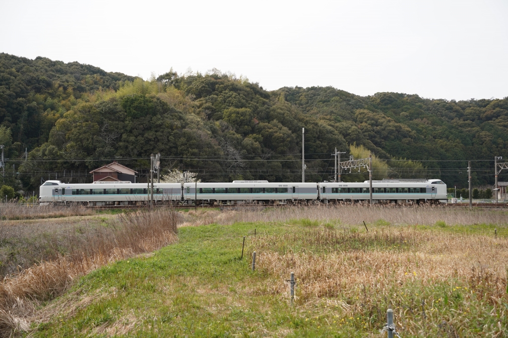 鉄道模型スタートキットみたいな287系3連が留置線で寝てました