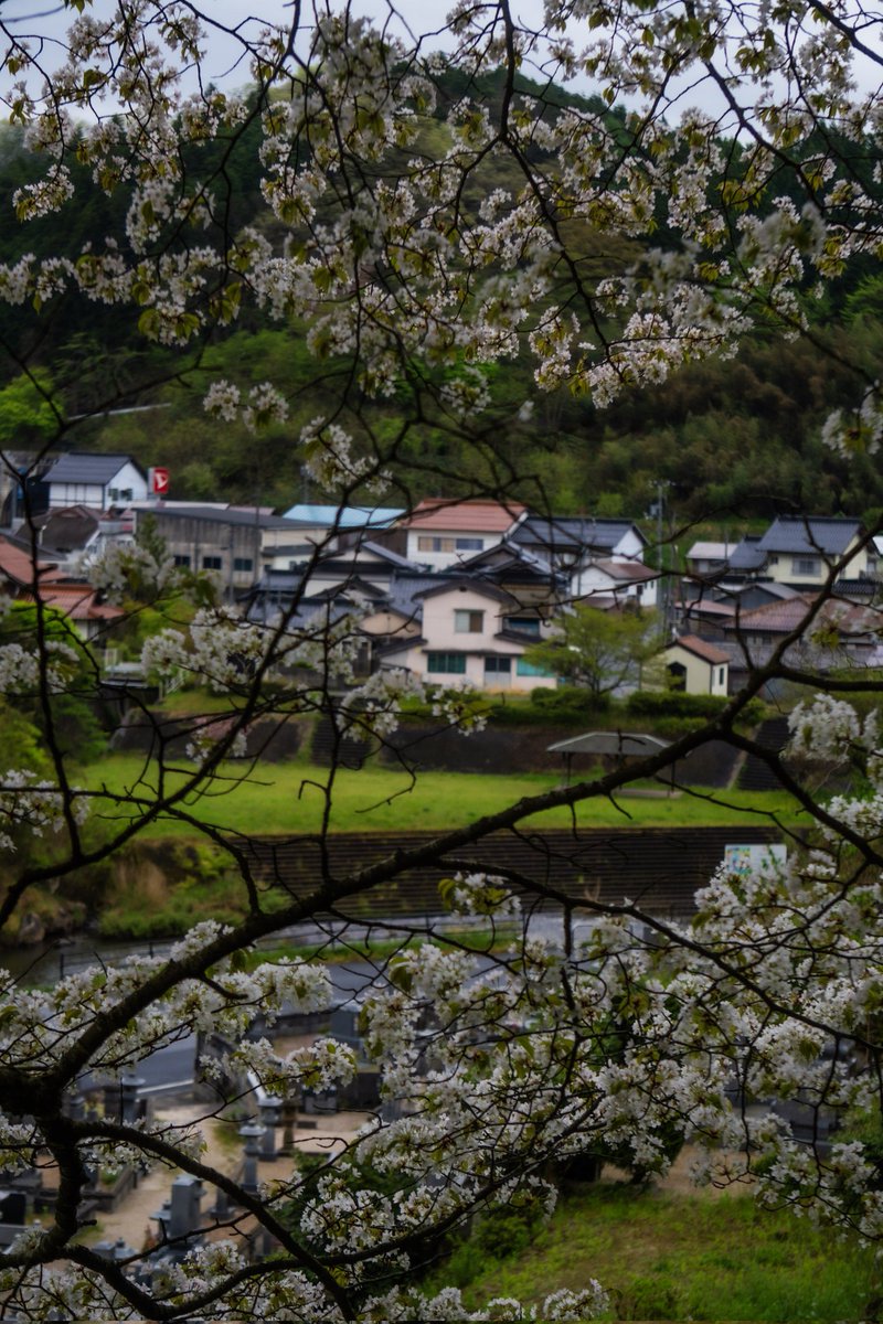 بعض الصور اللي حبيتها من تصويري اليوم 
اسم المنطقة ميناري في محافظة شيمانيه 
三成、島根
