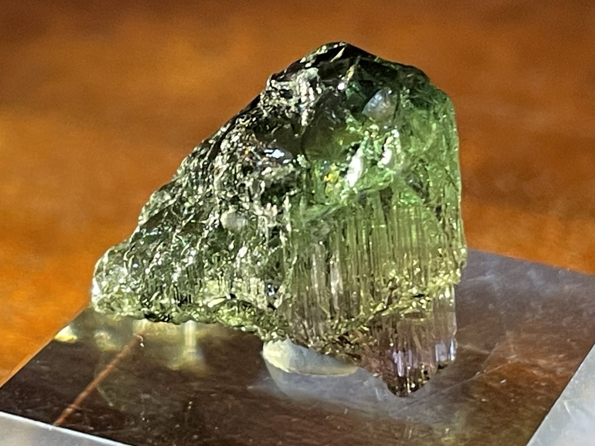 tomtourmaline tweet picture