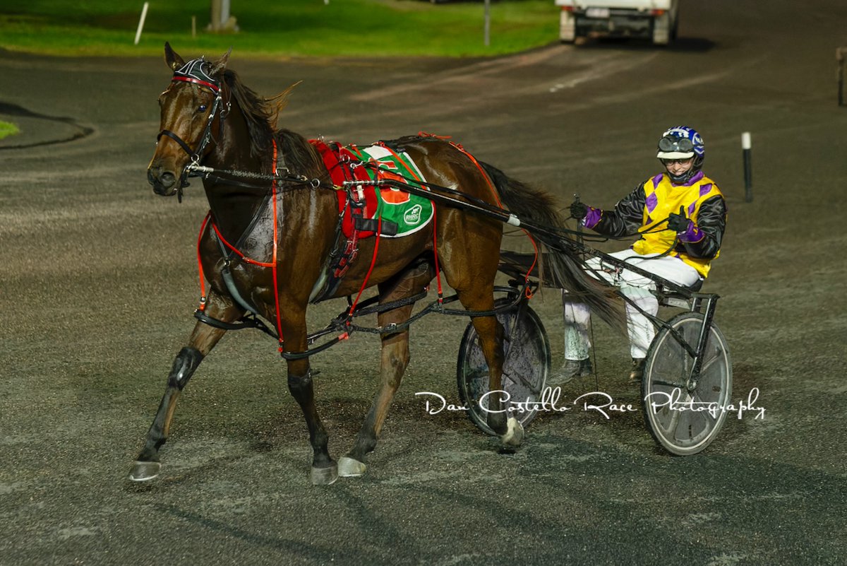 Its been a big 24 hours for the crew at Team Veivers <a href="/VeiversRyan/">Ryan Veivers</a> winning last night at Menangle with Girl From Rosedale &amp; taking out the first tonight <a href="/redcliffe_hrc/">Redcliffe Harness Racing Club</a> with Glenledi Commander driven by <a href="/Jordan39546078/">Jordan Topping</a>