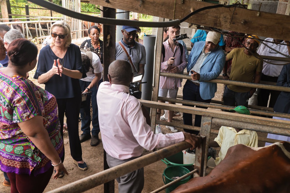 Il faut préserver le modèle agricole mahorais, qui est un modèle de petites structures, d’exploitations familiales et de circuits courts. À Mayotte, je réitère aux agriculteurs mahorais tout mon soutien. L’État doit se tenir à leurs côtés pour les aider.