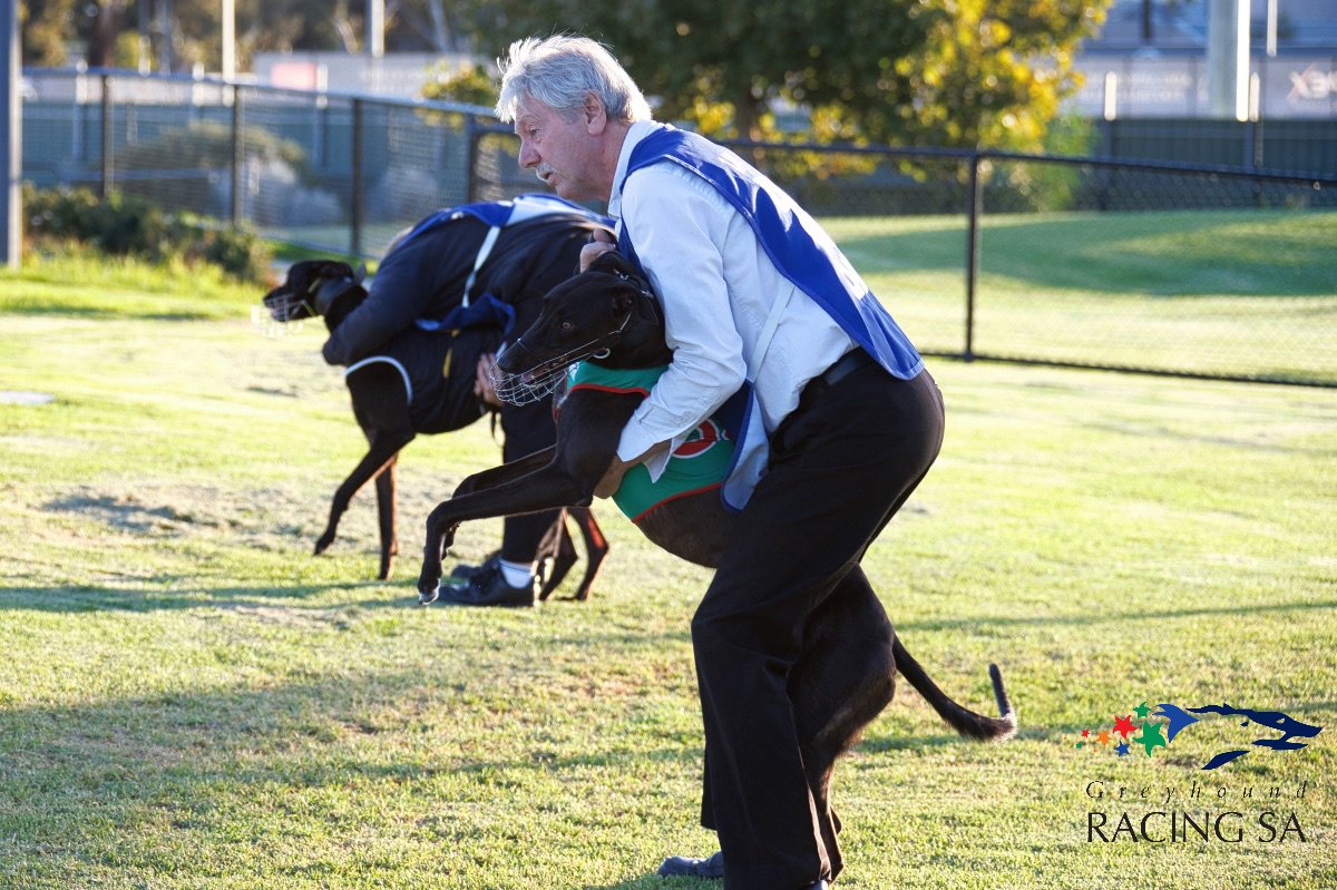 Hello you lot, not long now until we get stuck into a new weeks worth of SA greyhound racing.

As always we start with Angle Park this evening, let's see if we can boot a few winners home.

Good luck to all runners, connections & punters out there having a play.

#weloveourdogs