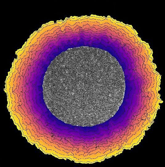 epithelial mechanics fan club (@epimechfc) on Twitter photo Epithelial tissues are well-known to invade free space and stop proliferation at confluency.
Do we know what regulates cell proliferation spatially and temporally?
🧵by <a href="/DedenonMathieu/">Mathieu Dedenon</a> Epithelial tissues are well-known to invade free space and stop proliferation at confluency.
Do we know what regulates cell proliferation spatially and temporally?
🧵by <a href="/DedenonMathieu/">Mathieu Dedenon</a>