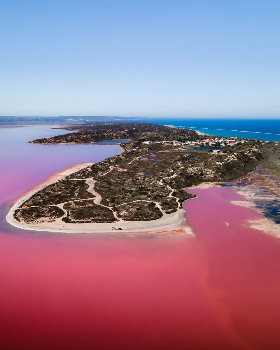 No Indian Ocean Drive is complete without the mesmerising sight of bubble-gum pink water against the blue horizon 💕 Get dreaming: bit.ly/49IisUD

📸: @teddy_mlfr/IG in #WAtheDreamState @thecoralcoast