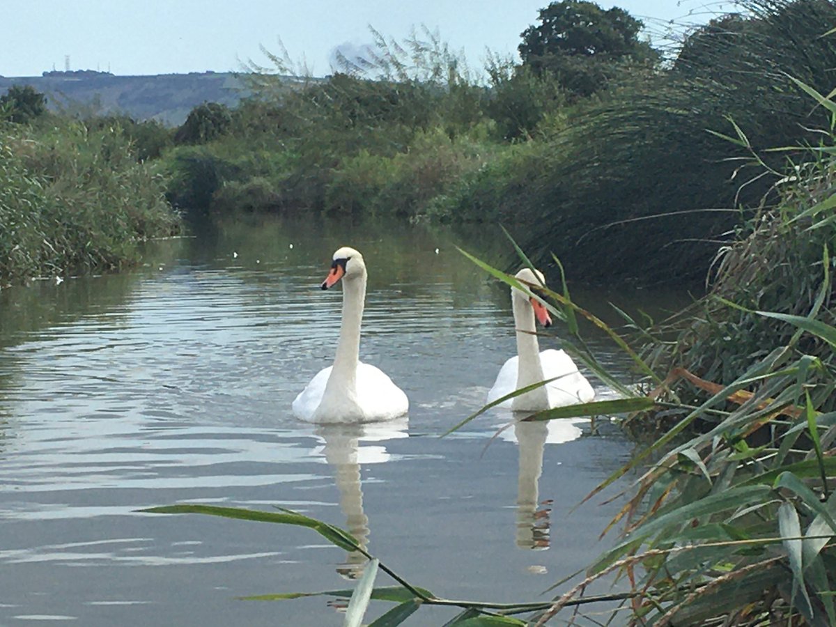 thekayakcoach's tweet photo. We are excited that our #kayak, #canoe and #SUPboard hire is now available on Saturdays from
from our hire base by the beautiful #RiverAdur. Spring is the perfect time to get out on the water in #nature and spot some local #wildlife. Book now: https://t.co/twTbRTEaFI @paddle_uk https://t.co/0tWas95Ahi