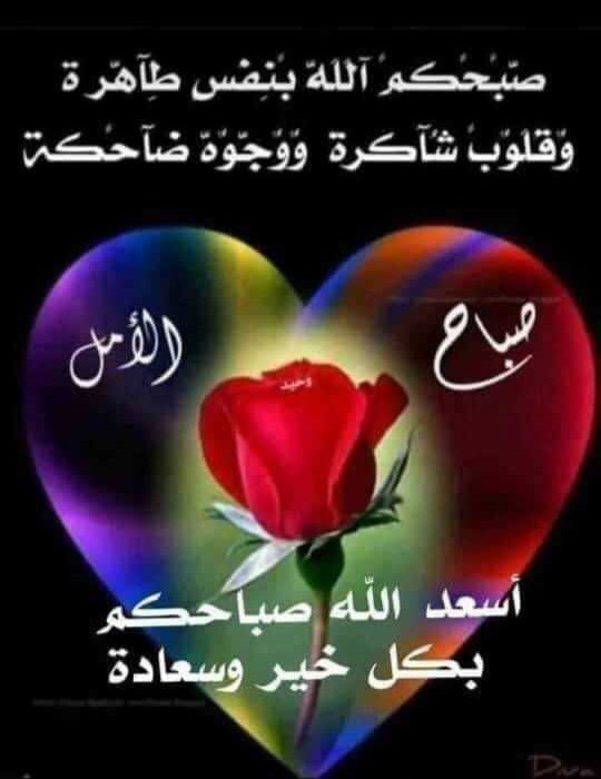 🦋عہصہآمہ🦋 tweet media