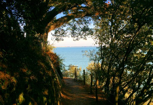 Superbe vue depuis le chemin côtier de #SaintNazaire ma #Bretagne #LoireAtlantique #44Bzh #BaladeSympa #MagnifiqueFrance