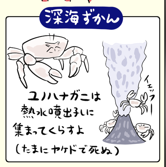 『深海DINER』こぼれ話
ユーノちゃんは擬人化verを実装しようかと思ったが、時間的な限界と、外見が変転するキャラが多すぎるとさすがに混乱するかと思い、1話では見送った。今後お目見えする可能性はある。でもずっと外見がカニのギャルもかわいいかもしれない