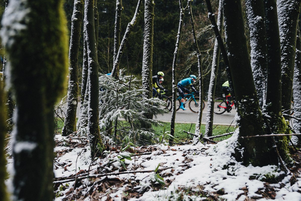 ❄❄❄❄ Une froide journée dans les Ardennes... Cold day in the Ardennes... #LBL