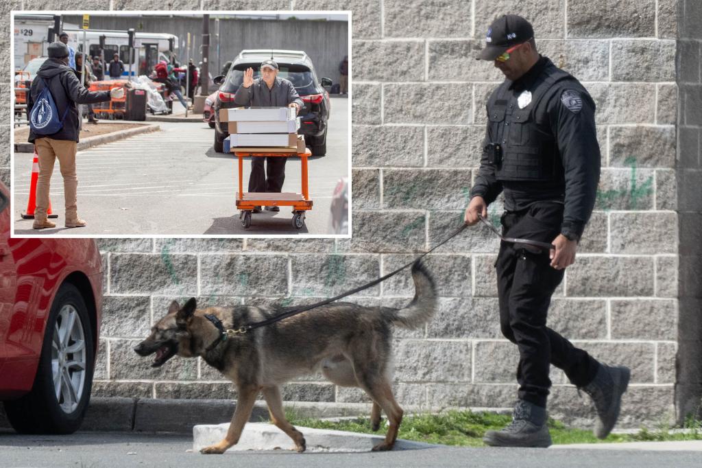 NY Home Depot hires guards, dogs to keep parking lot safe from thieves, aggressive migrants trib.al/Wjz7cHr