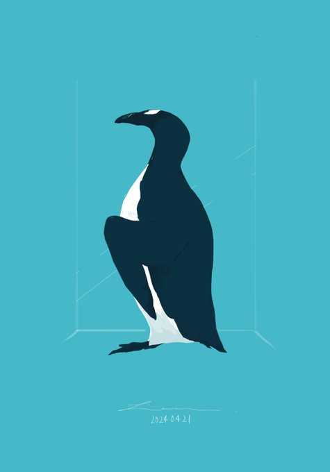 「penguin simple background」 illustration images(Latest)｜3pages