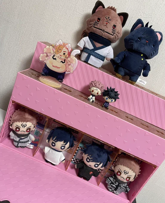 ぬいを飾りたいけど家族バレはしたく無い私に、かつて使っていたLOLの飾り棚がいい感じに適合した!!かわいい!!