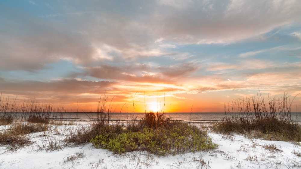 "The true worth of a man is not to be found in man himself, but in the colours and textures that come alive in others." Albert Schweitzer 💛

#quote #Sunday #sundaysunsets