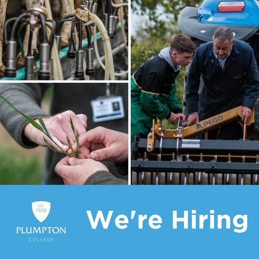 WE ARE HIRING! Apprenticeship Manager. Follow this link for more information and the job description: eu1.hubs.ly/H08HqtN0 #ApprenticeshipManager #Hiring #PlumptonCollege #WeAreHiring