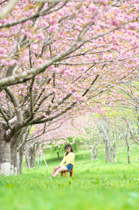 桃山こまちのTwitter画像13
