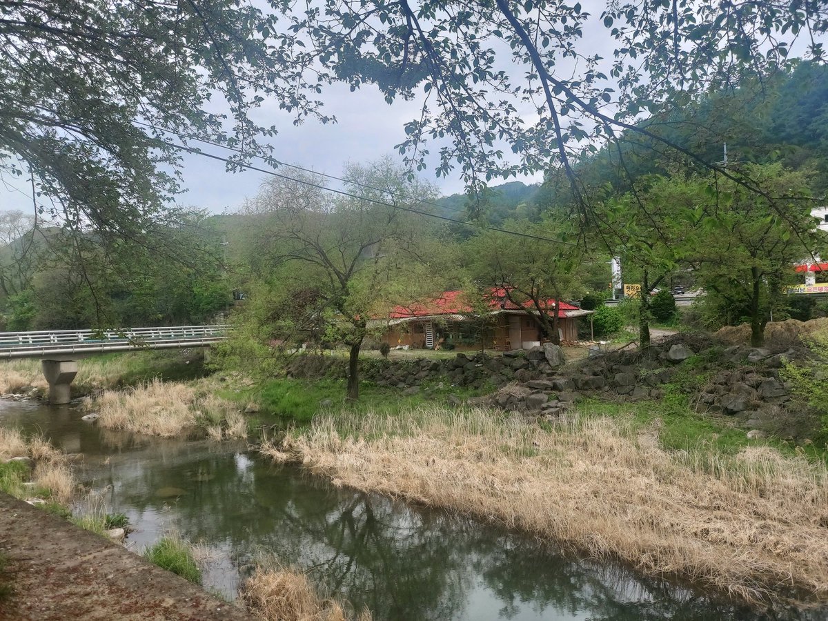 비 온뒤
참으로 깨끗하다
꽃 진자리 엔 
인연의 시간만 남아있네
오늘도
또 다른 인연을 만드네