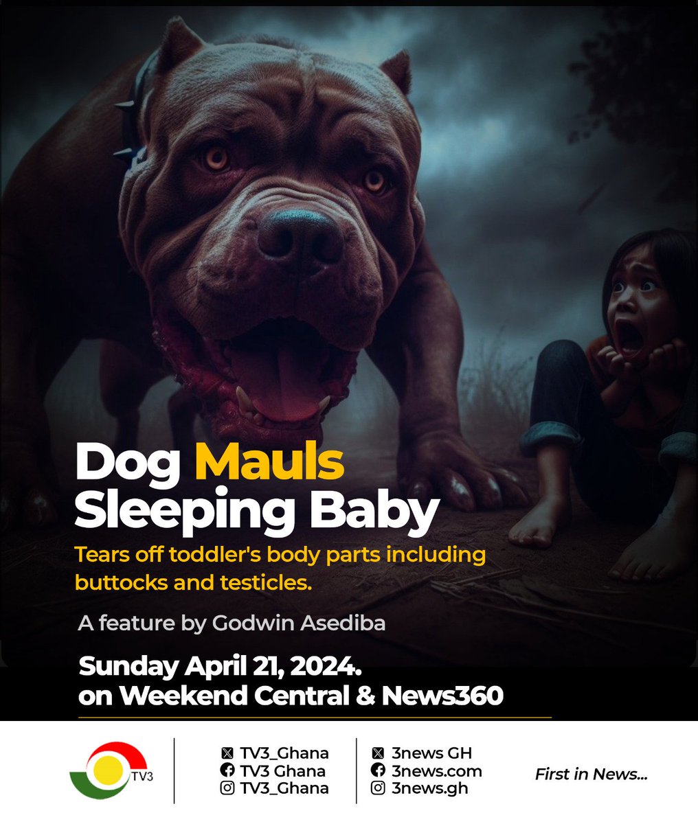 Today on #WeekendCentral at 12pm and #News360 at 7pm, we bring you a feature by @GodwinAsediba on a dog that tore off toddler's body parts. 

#3NewsGH
