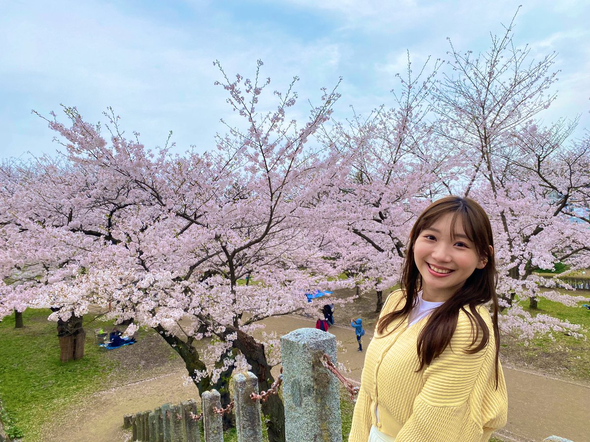 盛岡の桜🌸
Instagramとは別の写真です🤭📷

#盛岡城跡公園
#桜 #cherryblossoms 
#お花見