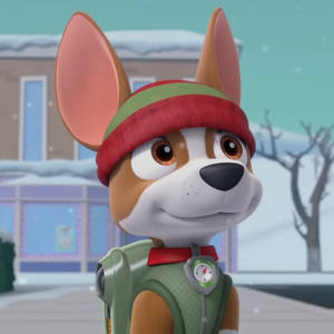 Tracker #pawpatrol