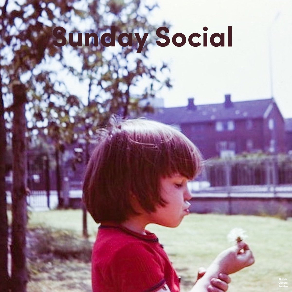 Sunday Social @Spotify Playlist from BCA. > open.spotify.com/playlist/4cyTD…