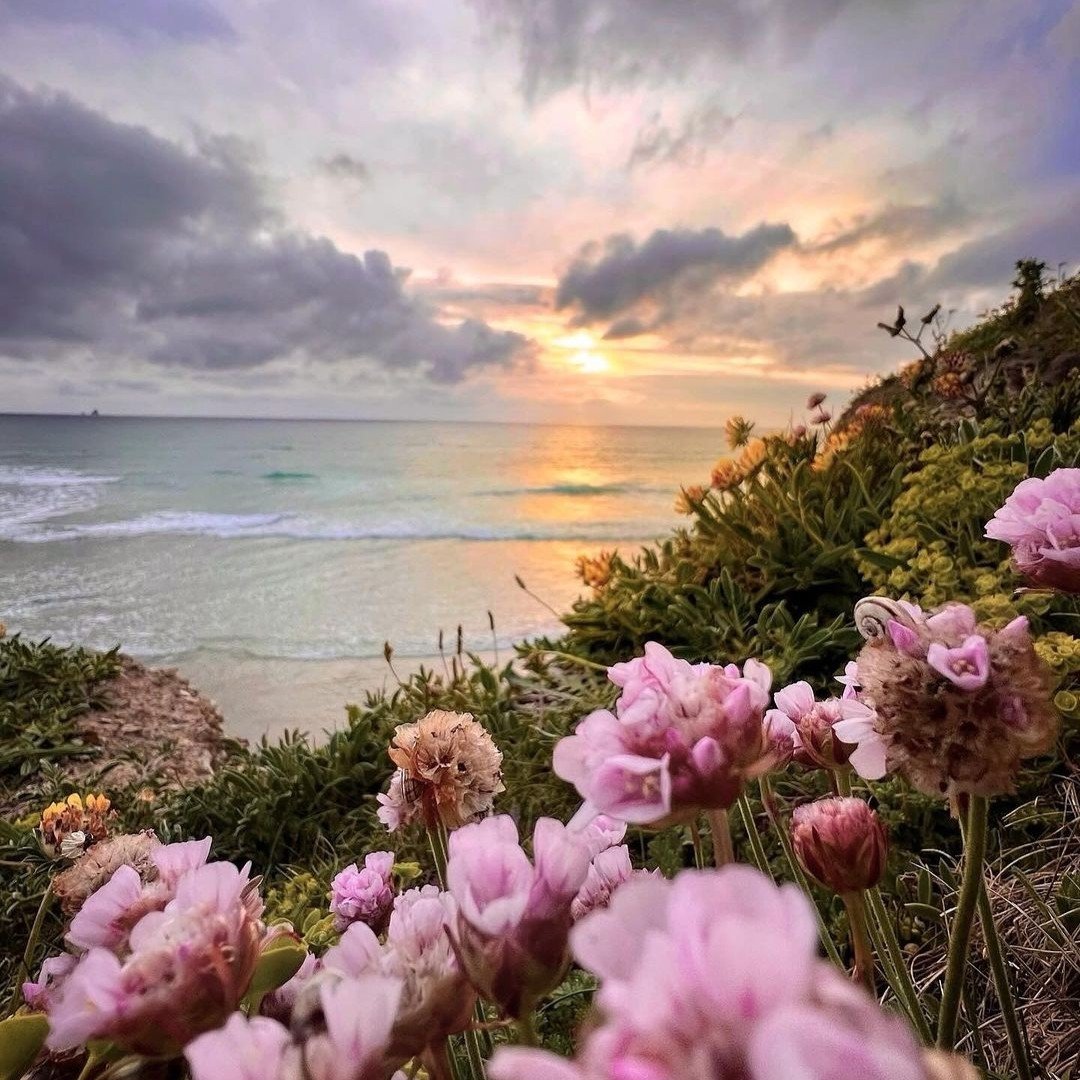 Spring flowers in full bloom under the gorgeous skies of this Perranporth Beach sunset 🌸⁠ ⁠ Who's ready for the evenings to get longer, warmer and lighter again? We know we are!⁠ ⁠ RG @ lifestyle_creative_photography on IG