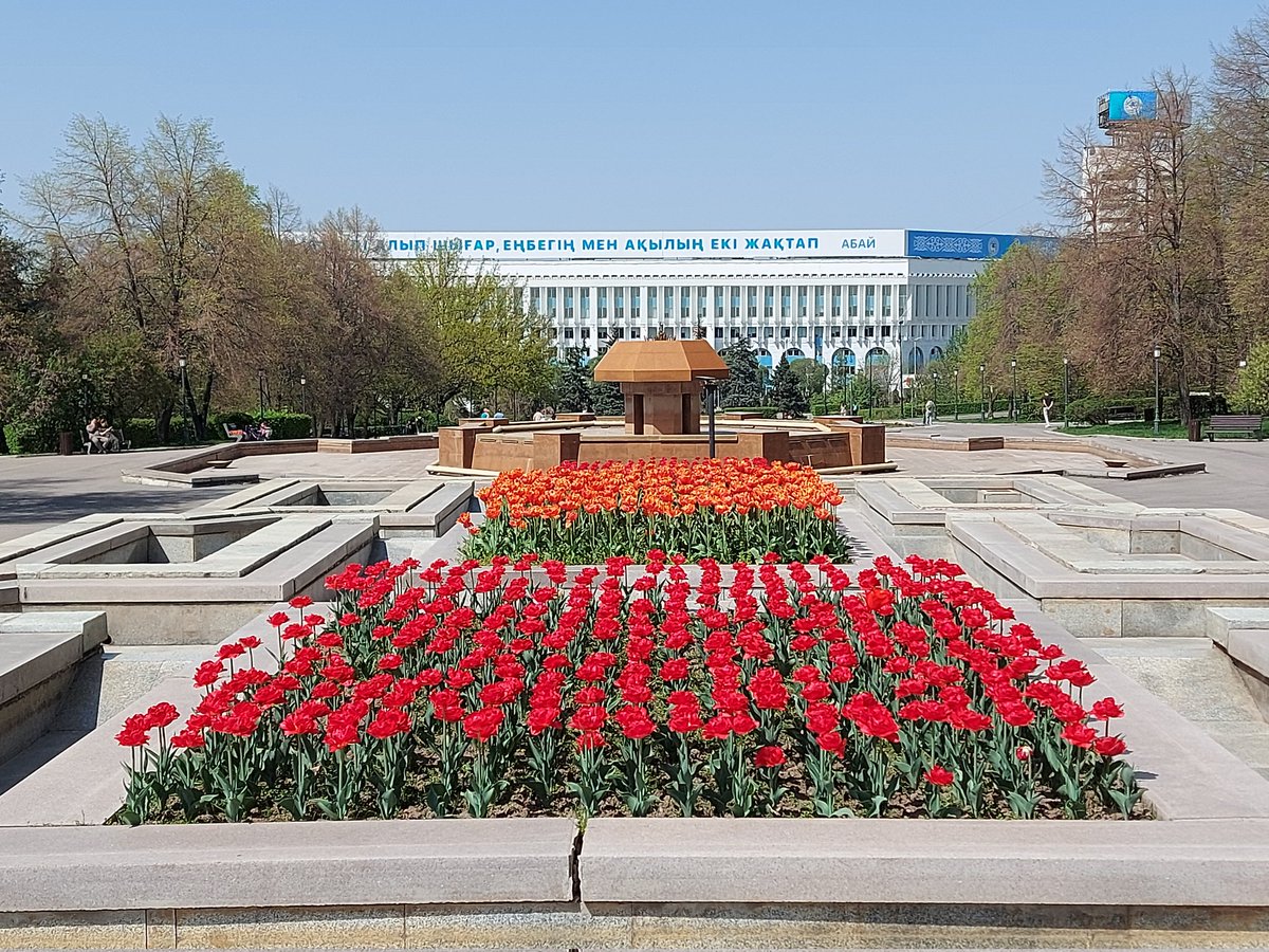 Tulip time in the home of tulips #Kazakhstan