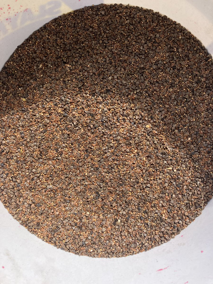 David White 🇬🇧+🇪🇺 tweet media