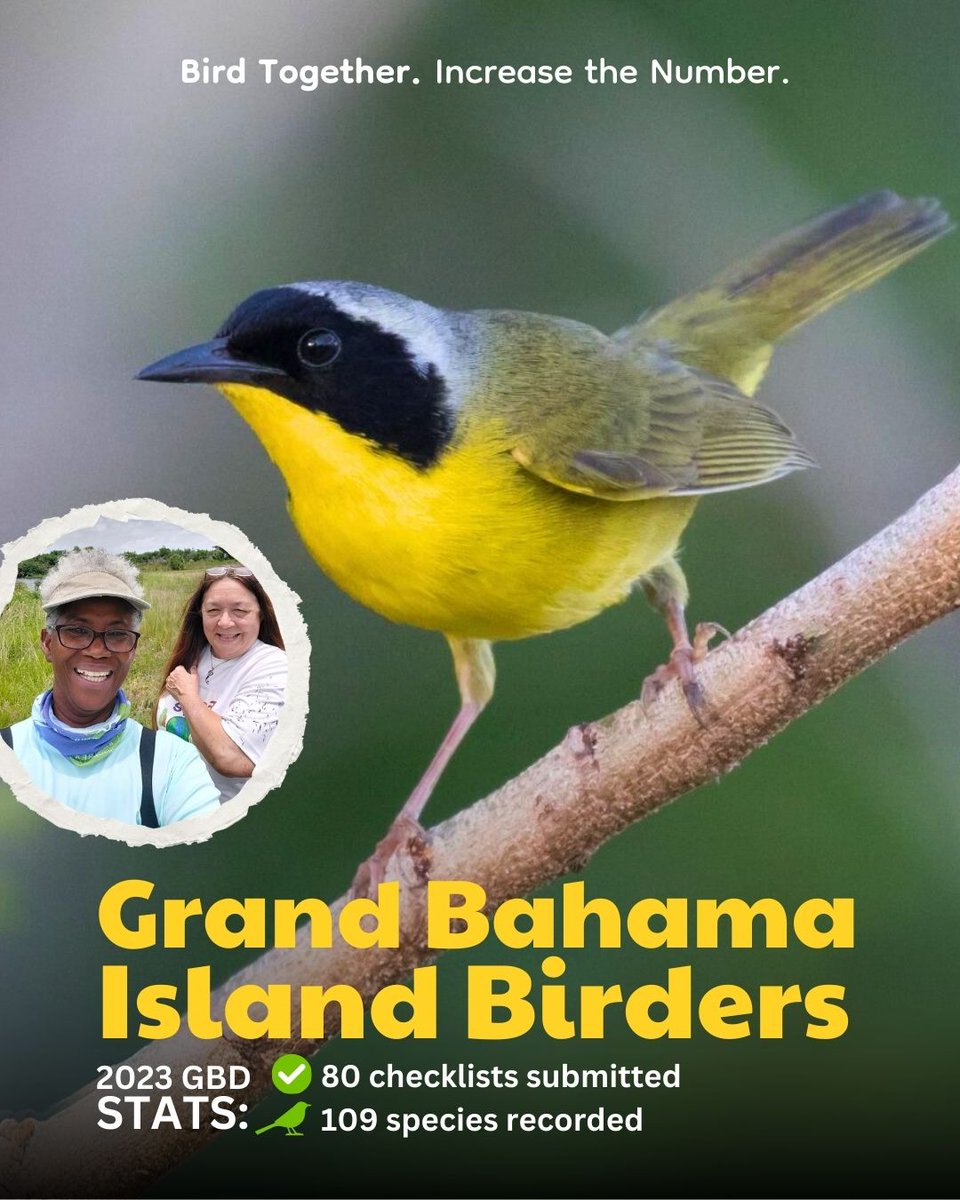 BirdsCaribbean tweet picture