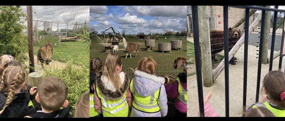 Yr1 had a very exciting start to the summer term by visiting Wolds Wildlife park. We were able to apply all our learning to identify which animals were carnivores, herbivores and omnivores and were able to ask the keepers lots more interesting questions. 
#WeAreGAT
#Schooltripfun