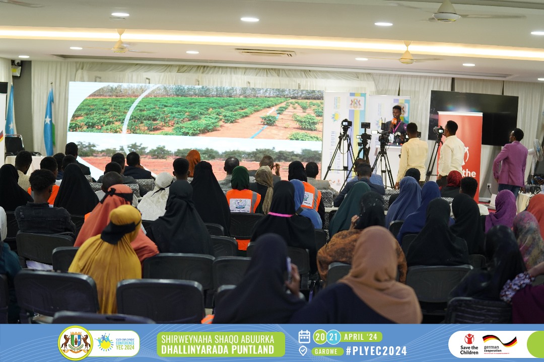Hanaali31's tweet photo. Haatan waxaa a soo gaadhey gunaanadkii Shirweynaha Shaqo Abuurka Dhallinyarada Puntland oo muddo labo maalmood ah ka socdey Martisoor Hotel, Garoowe.

Shirweynaha waxaa soo agaasimay Wasaaradda Shaqada iyo Shaqalaha.

#PLYEC2024. https://t.co/QtNFn72Crb
