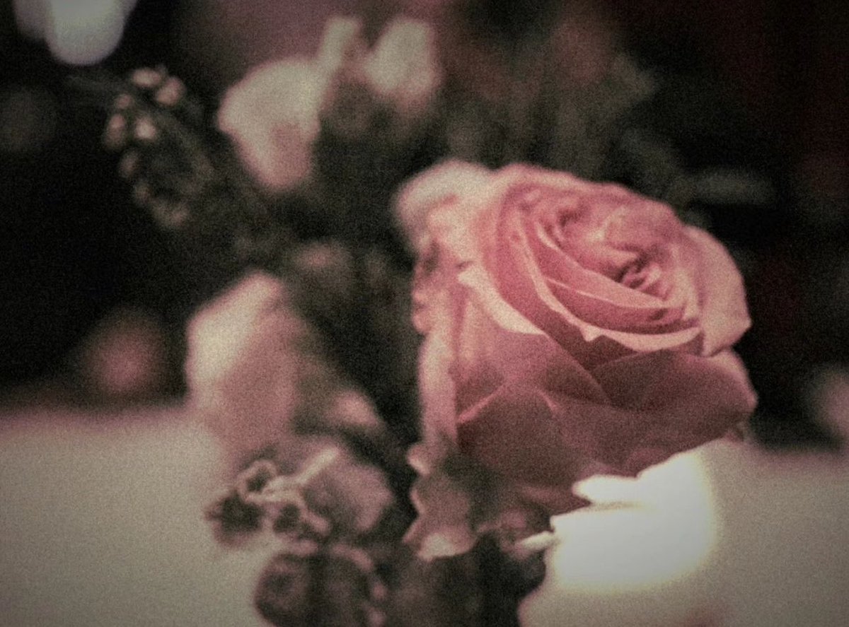 XUAINJIN's tweet photo. How I perceive love: You and I, amidst the darkness, akin to delicate flowers that bloom under the moon’s gentle gaze. The night becomes our sanctuary, a haven where secrets are shared in the language of souls. https://t.co/UMRGZVoKBp