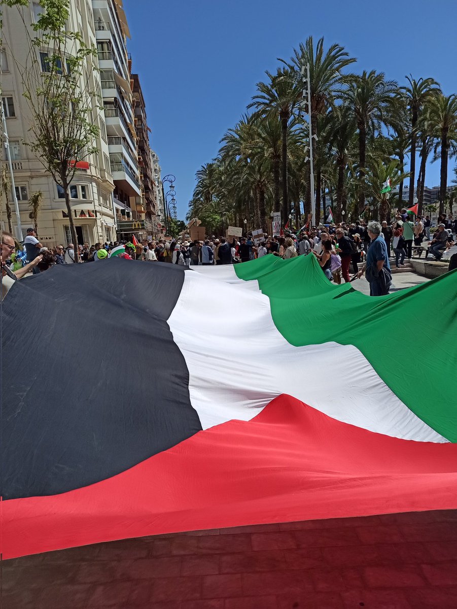 Concentració a Alacant en suport de Palestina #FreePalestine #PPCCambPalestina