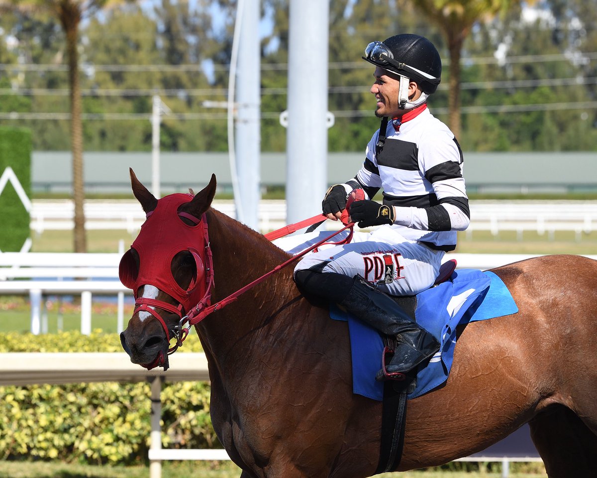 #21Apr Miss Ucrania Jockey: Jose Morelos Trainer: Luis Duco Owner: Luis Duco Stables Inc Claiming $25,000 • Dirt 3️⃣rd victory for Jose Morelos #GulfstreamPark #RoyalPalmMeet Saturday, April 20, 2024 #TeamMorelos 📸 @coglianesephoto / Lauren King / @RyanFromChicago