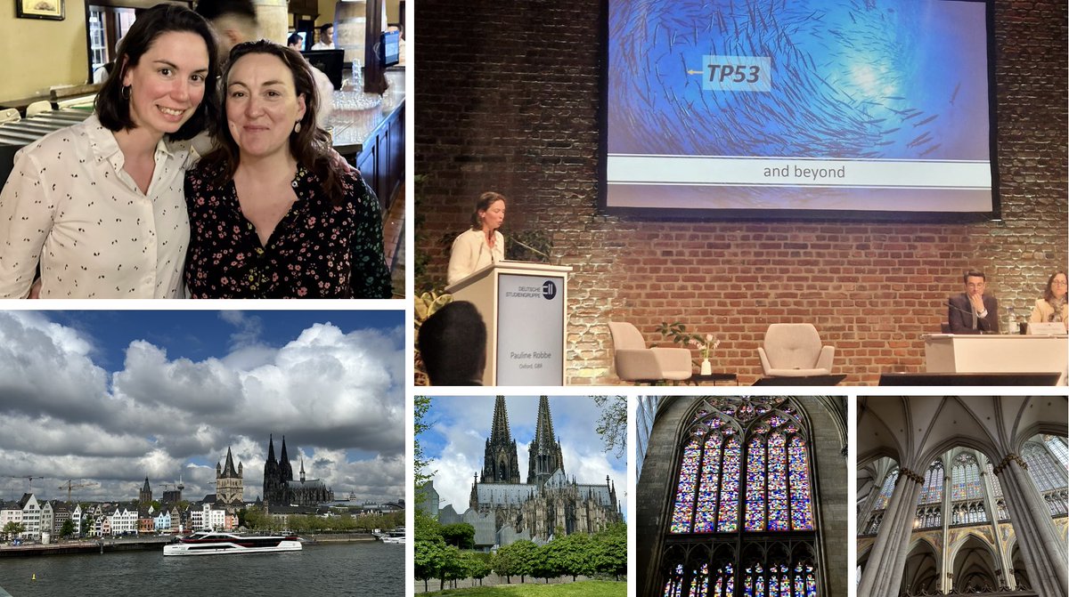 Absolutely thrilled to have been part of the #GCLLSG workshop in Cologne and reconnect with all my CLL colleagues again! The lineup of speakers was not only impressive but also enlightening.Immensely grateful to @HallekMichael,Barbara Eichhorst, @Othman_Al_Sawaf &Kirsten Fischer