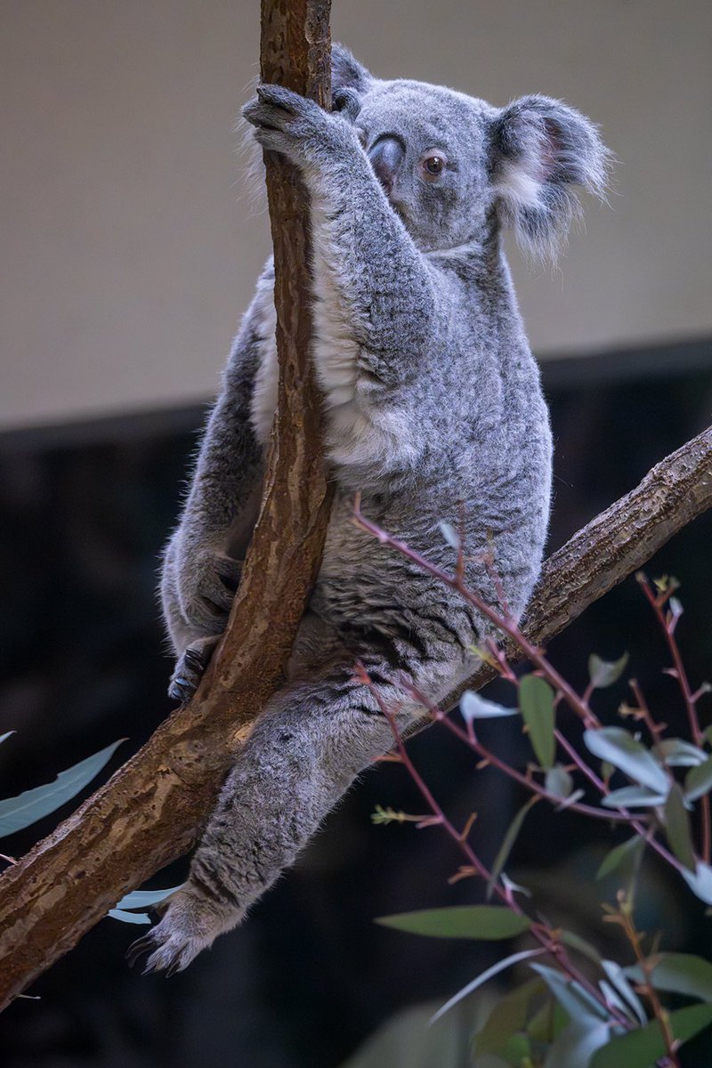 さてさて、昨日のLUMIXアカデミーリアル講座での撮影写真がポロポロ上がって来たのでしばらく日本から離れるので講師の写真も少しだけアップしておきます。生徒さん達の写真と一緒に見て下さい。宜しくお願い致します！^_^