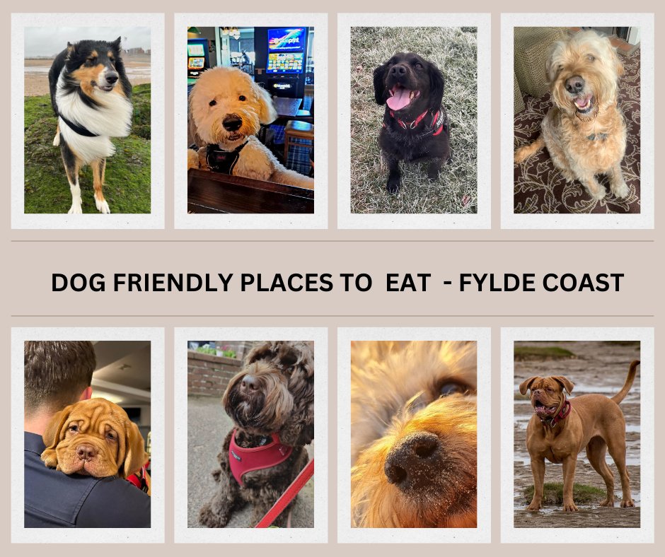New list of dog-friendly places to eat in Blackpool and Fylde, available on the Relax St Annes page on Facebook!  Spread the word, please! More to come, including places to stay/visit with dogs.
#dogswelcome #Lancashire #Fylde #Blackpool #dogfriendly #eatout #wheretoeat #dogs