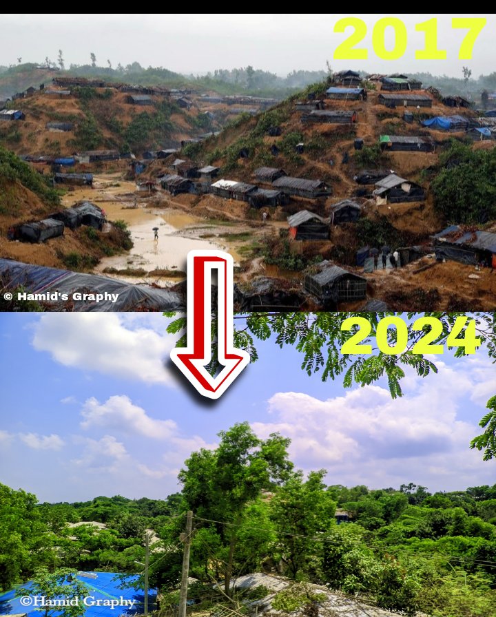 'From 2017 to 2024, the #Rohingya refugee camp has transformed from a barren landscape to a thriving forest, symbolizing resilience and renewal. This remarkable change reflects the power of nature and human spirit. #Rohingya #Refugees #transformation #refugeeCamps