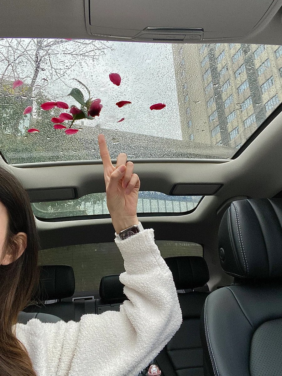 filbertotr's tweet photo. In the language of flowers, every bloom speaks of love, hope, and renewal🌹🫣 https://t.co/18P2SZ9qrP