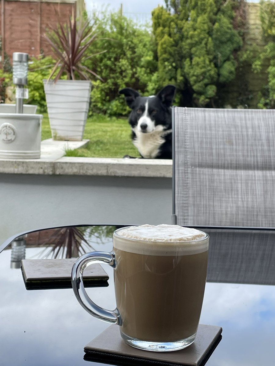 EmmaDAVIES001's tweet photo. Finally 🙌Warm enough &amp; dry enough for coffee out the garden…  @BCTGB problem is someone is ready to get out into the fields for his walk…🥰❤️ https://t.co/VEoLO1hcsZ