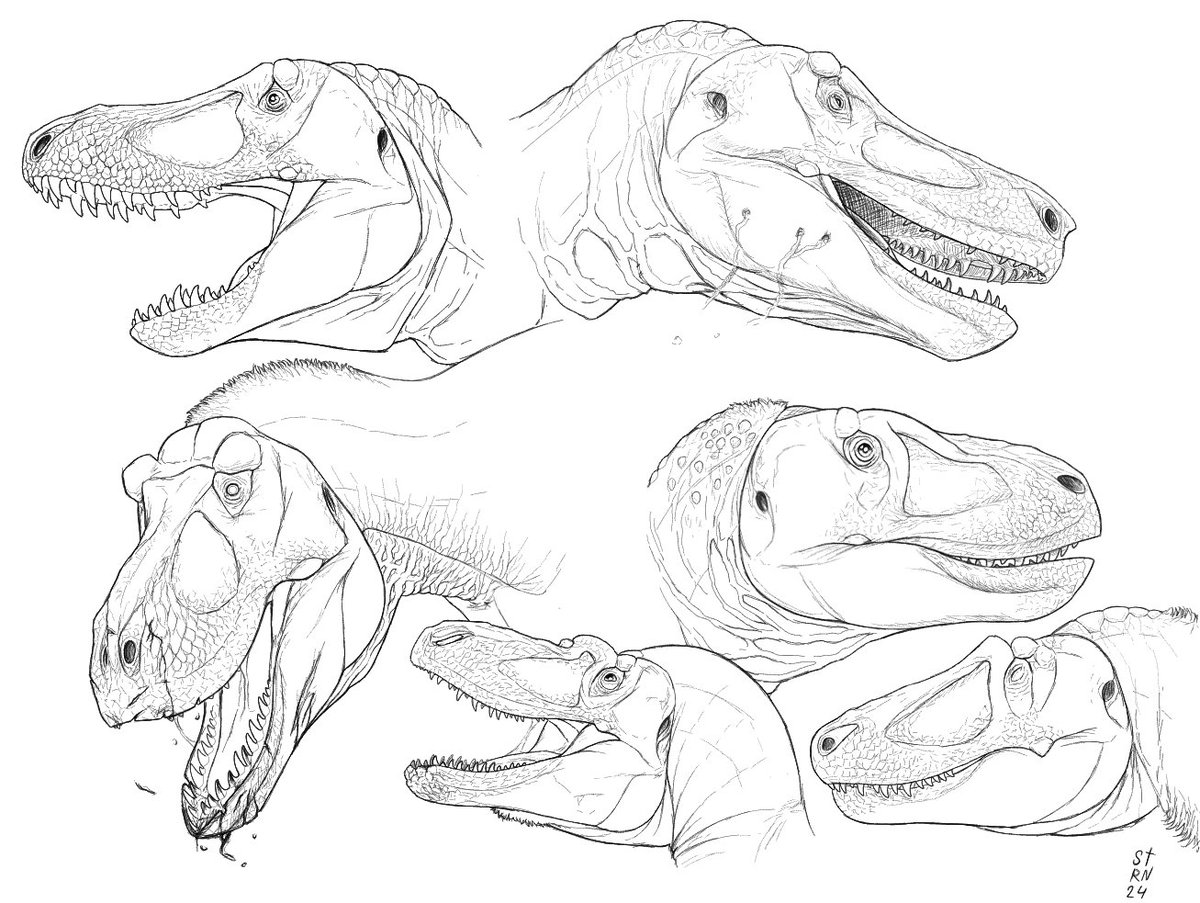 ArtSaturator's tweet image. Tyrants band sketches