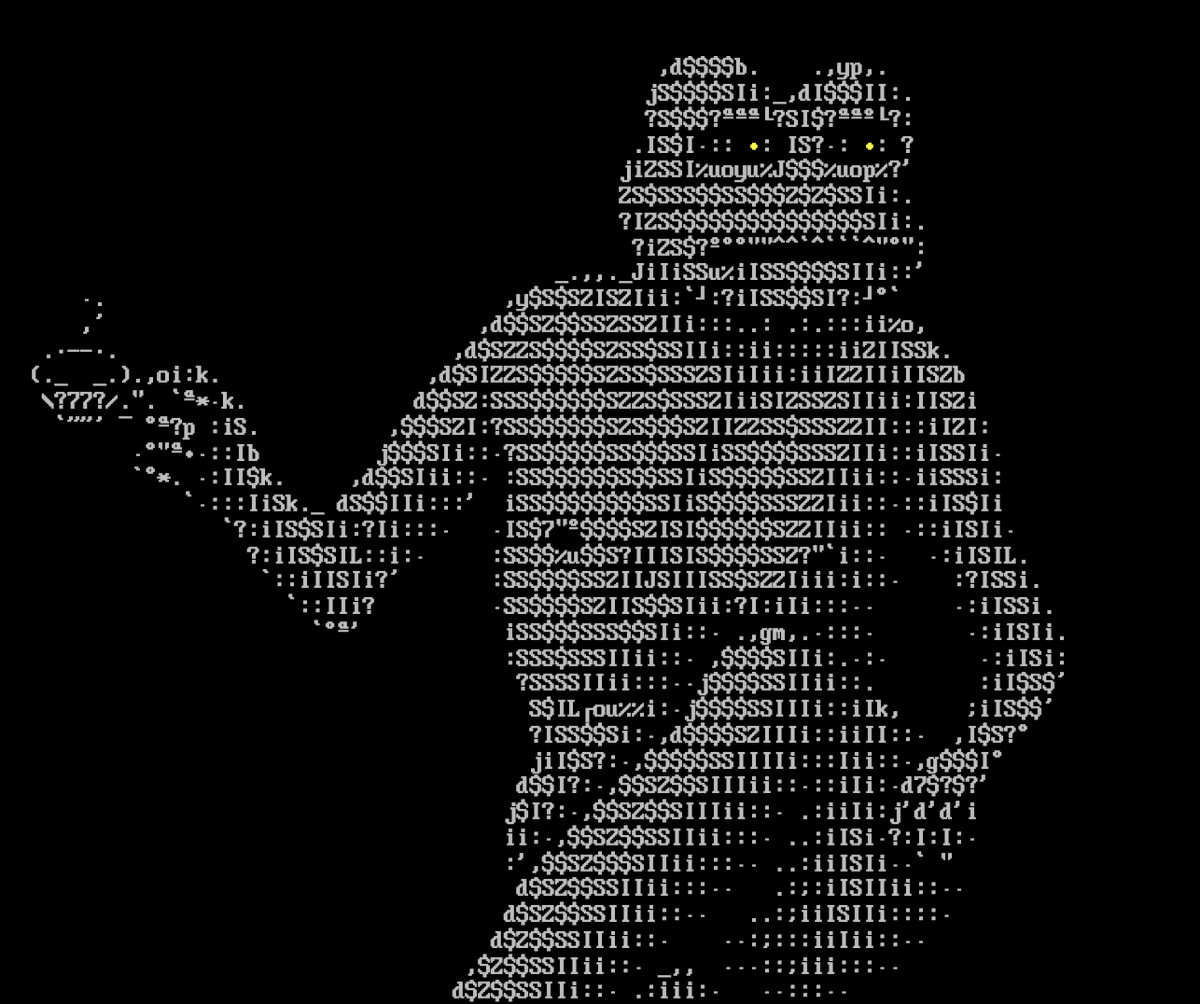 GM / Happy Sunday ☕