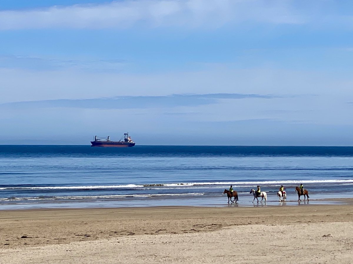 Sunday trot #horses #Castlerock