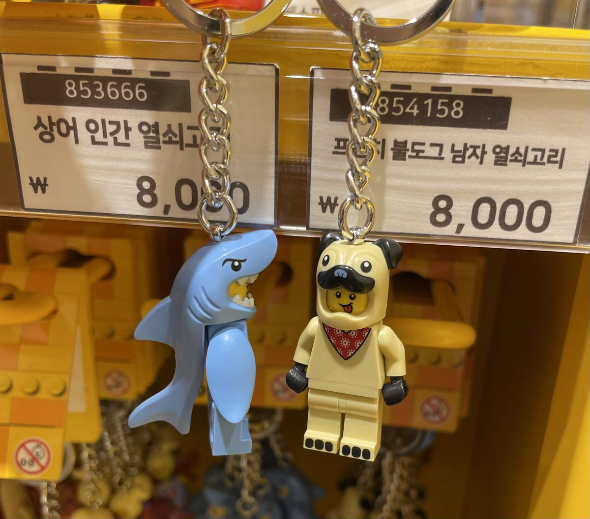 상어인간 강아지남자 무슨 사이 ㄷㄷ