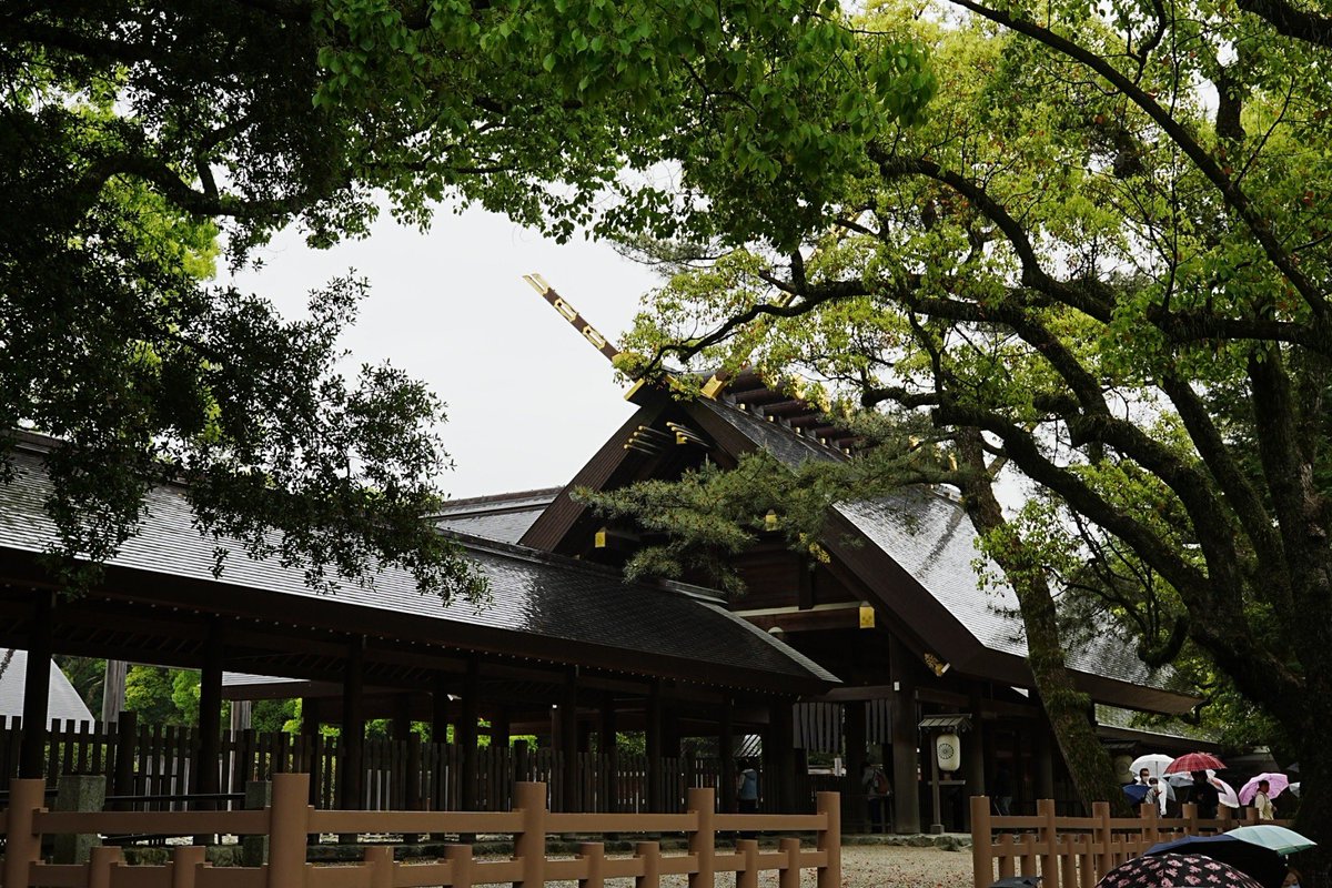 Craftwatts's tweet photo. 雨の熱田神宮⛩️
しっとりして良き感じ🌲 https://t.co/XsyzECBZTr