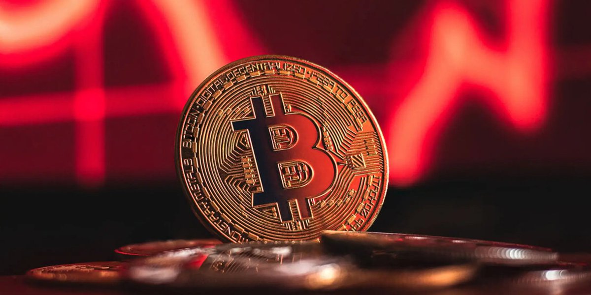 BERLIN_x_'s tweet photo. Suggest some Alpha groups ⬇️
#alphagroups #BTC #BitcoinHalving #cryptocurrency https://t.co/dy8onmJrhw