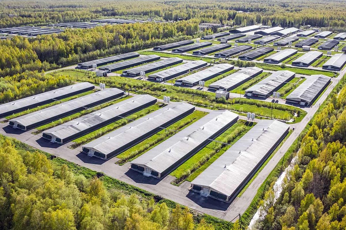 Farming is not difficult at all. 
Farming without capital is hell if you thinking commercial farming 🤣