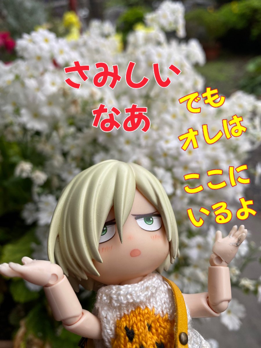 モンステラ tweet media