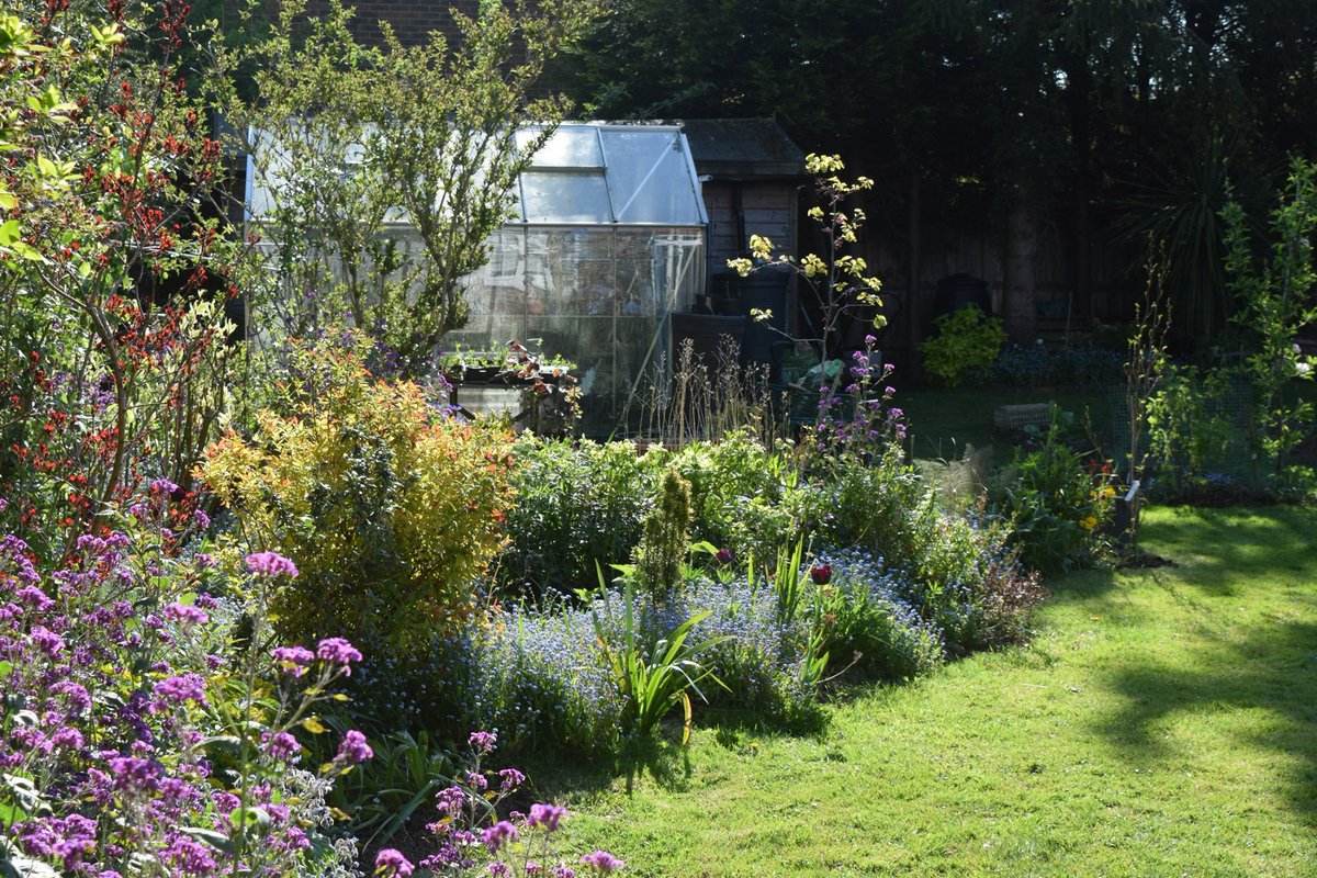 Missing the Sloven Cottage garden today, especially as I know that most of this bed has already been bulldozed by the new occupants. Sob.
