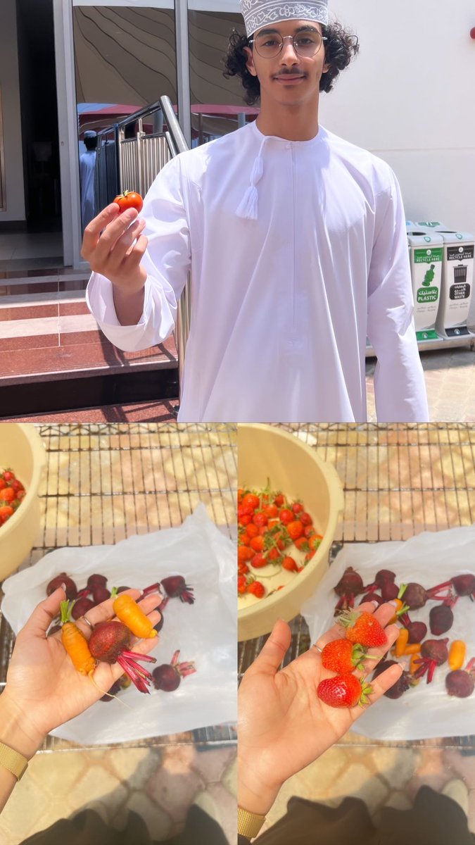 Our little garden is blooming with joy and deliciousness! 🌱🍅🥕 The students are thrilled to grow their own baby tomatoes, carrots, and strawberries. #GreenThumbs 
#greenhouse