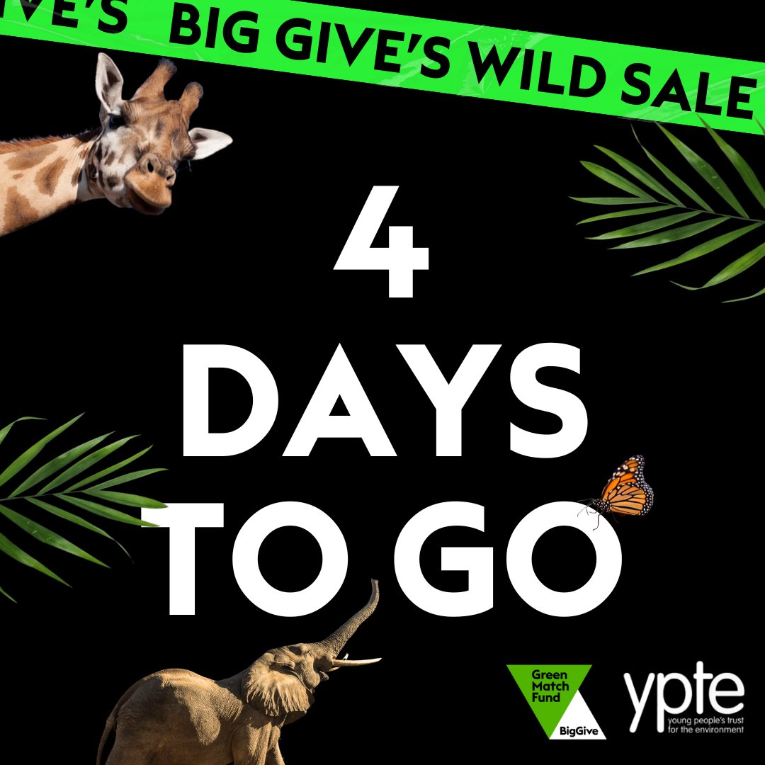 From April 18th to 25th, all donations made using the link below will be DOUBLED! Let's make a difference together! Click the link to donate now and help YPTE provide environmental education to young people: donate.biggive.org/campaign/a0569…  

#GreenMatchFund #2for1nature  @BigGive